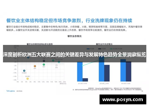 深度剖析欧洲五大联赛之间的关键差异与发展特色趋势全景洞察纵览